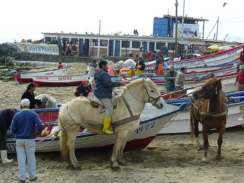 Foto de Horcon, Chile