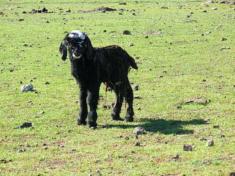 Foto de Putaendo, Chile