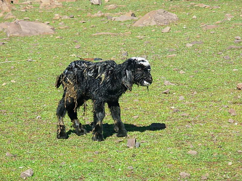 Foto de Putaendo, Chile