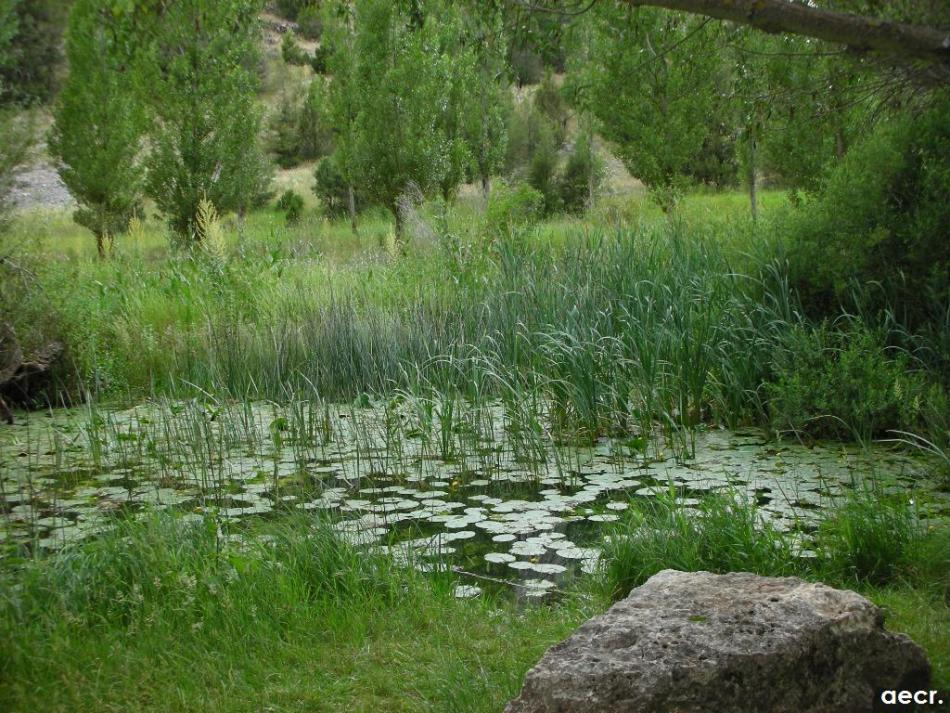 Foto de Ucero (Soria), España