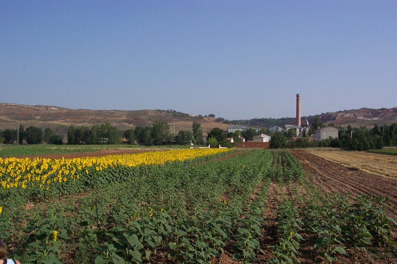 Foto de Matillas (Guadalajara), España