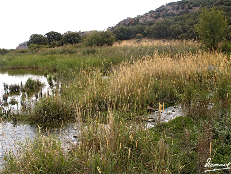 Foto de Somaen (Soria), España