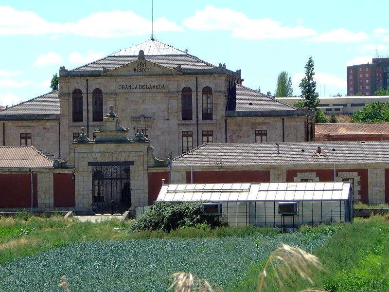 Foto de Salamanca (Castilla y León), España