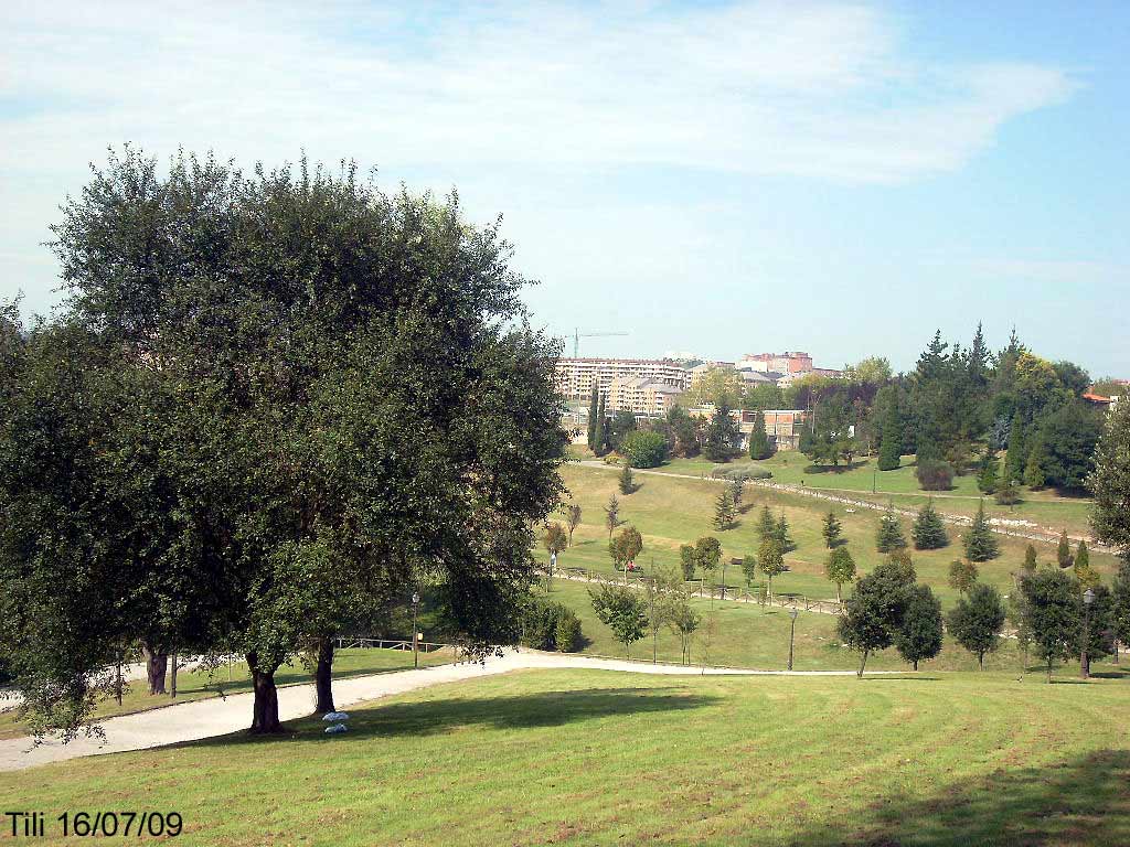 Foto de Oviedo (Asturias), España