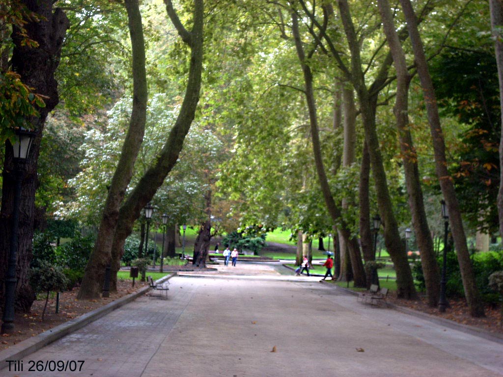 Foto de Oviedo (Asturias), España