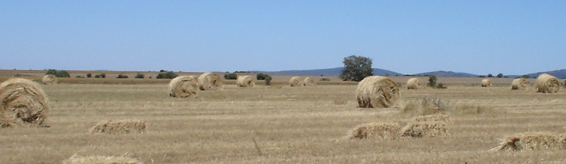 Foto de Salamanca (Castilla y León), España