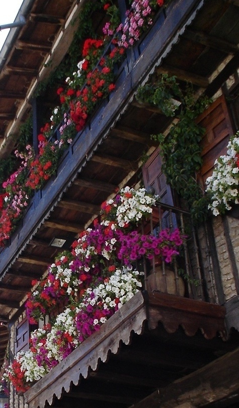 Foto de Salamanca (Castilla y León), España