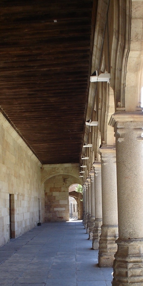 Foto de Salamanca (Castilla y León), España