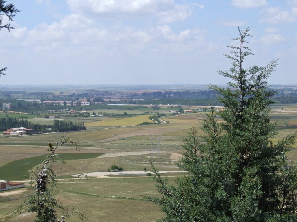 Foto de Palencia (Castilla y León), España