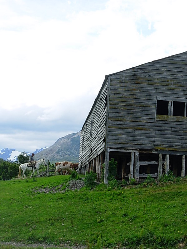 Foto de Puerto Natales, Chile