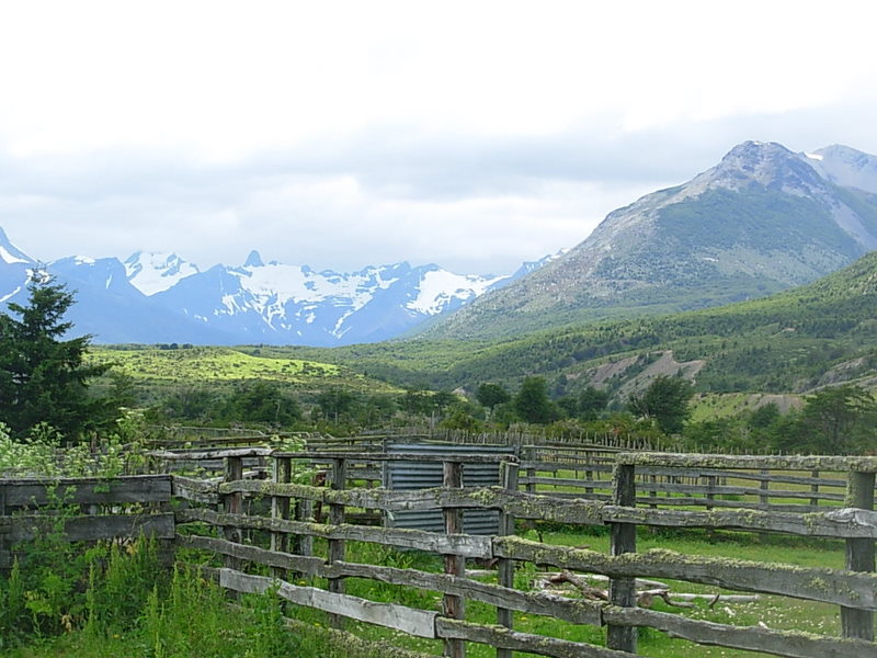 Foto de Puerto Natales, Chile