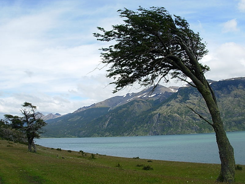 Foto de Puerto Natales, Chile