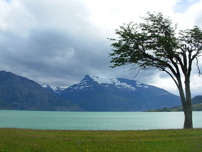 Foto de Puerto Natales, Chile