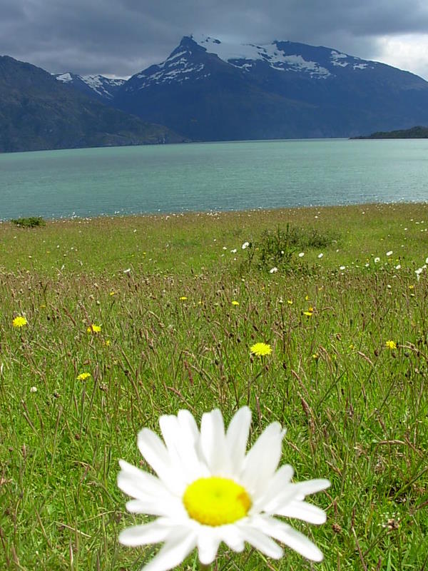 Foto de Puerto Natales, Chile