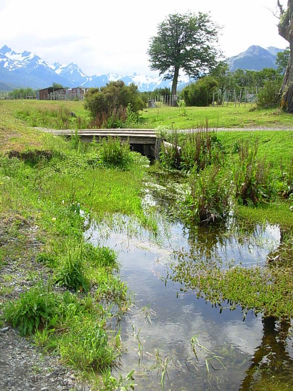 Foto de Puerto Natales, Chile