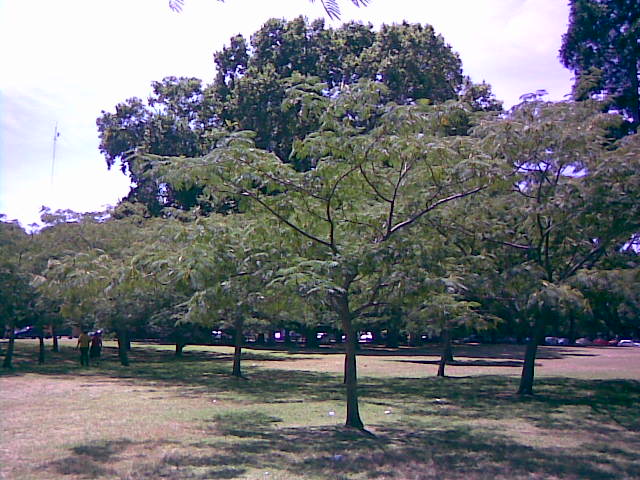 Foto de Buenos Aires, Argentina