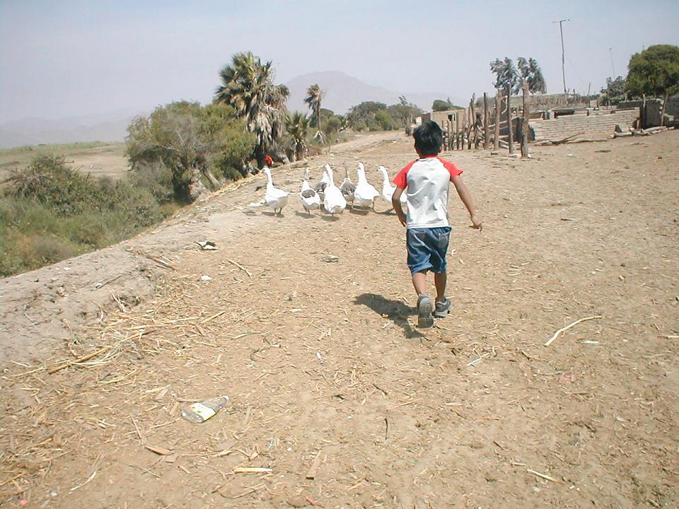 Foto de Llamipe, Perú