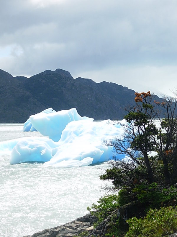 Foto de Torres del Paine, Chile