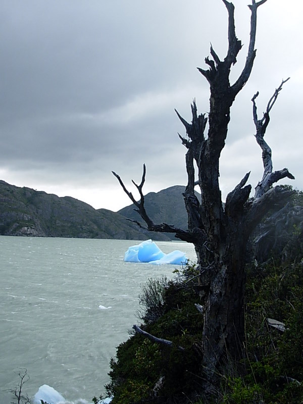 Foto de Torres del Paine, Chile