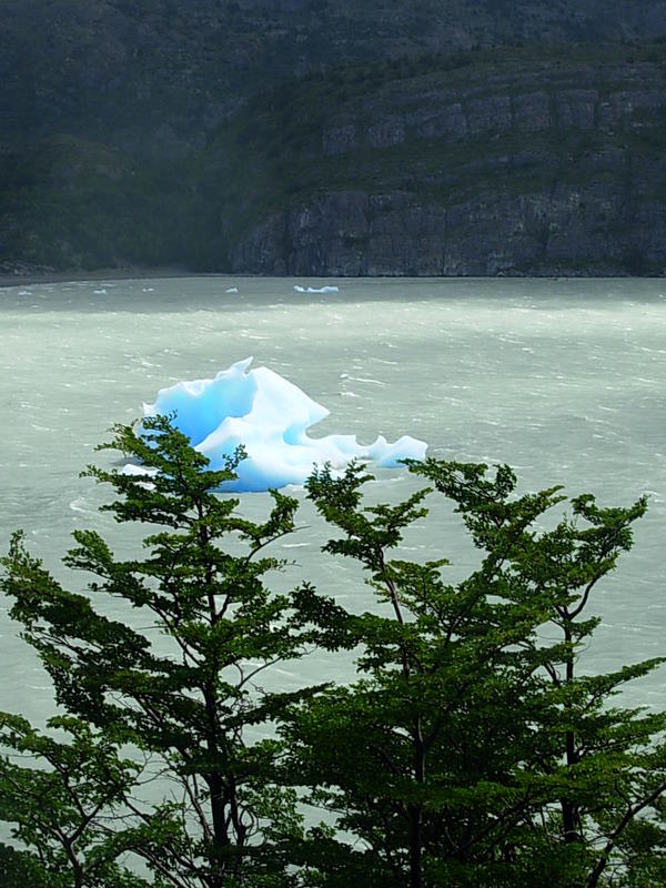 Foto de Torres del Paine, Chile