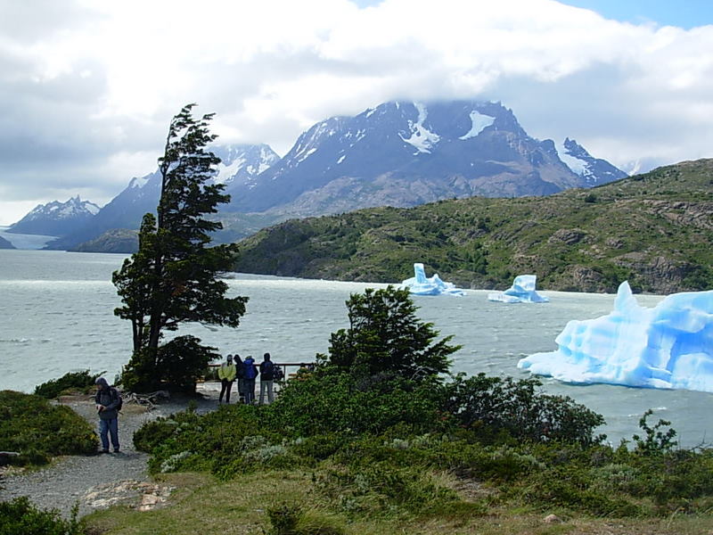 Foto de Torres del Paine, Chile