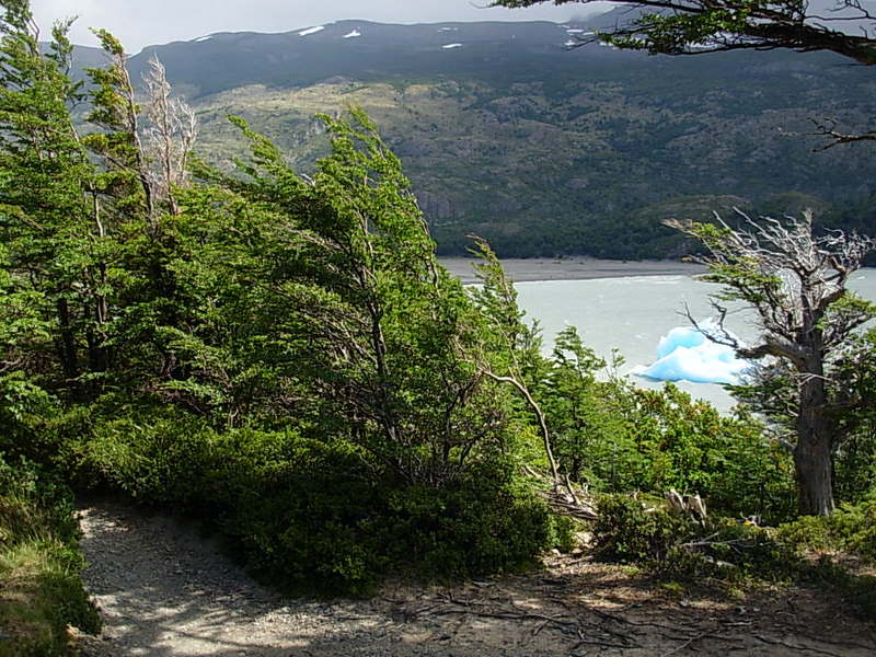 Foto de Torres del Paine, Chile