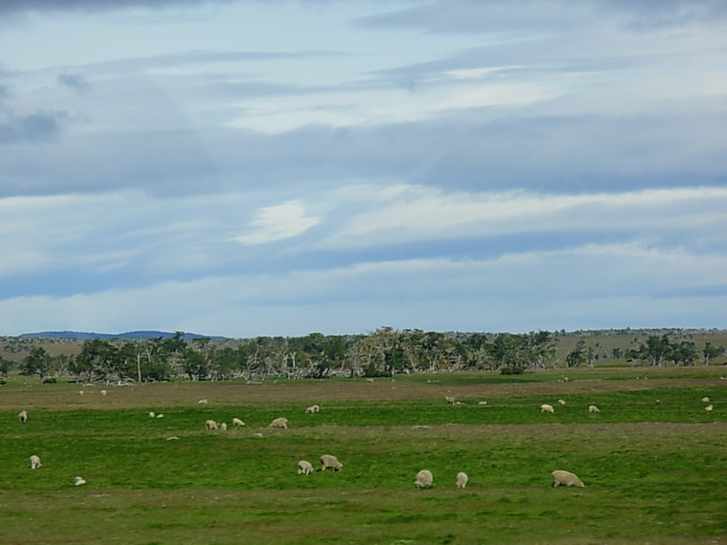 Foto de Punta Arenas, Chile