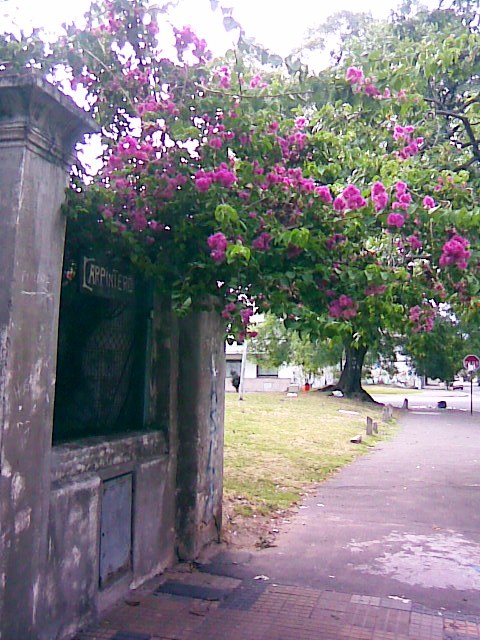 Foto de Buenos Aires, Argentina