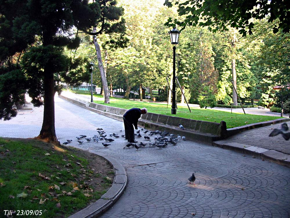 Foto de Oviedo (Asturias), España