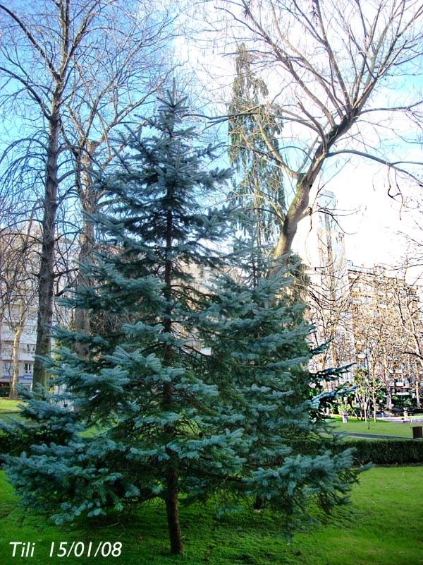 Foto de Oviedo (Asturias), España