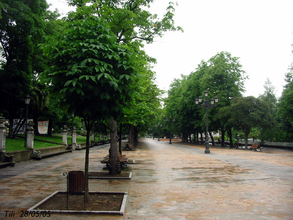 Foto de Oviedo (Asturias), España