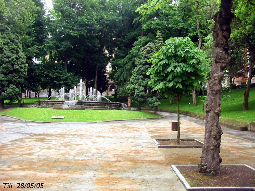 Foto de Oviedo (Asturias), España