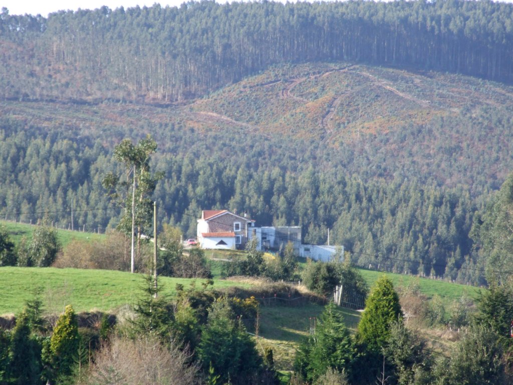 Foto de Escobedo (Cantabria), España