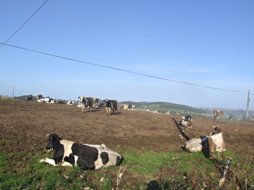 Foto de Escobedo (Cantabria), España