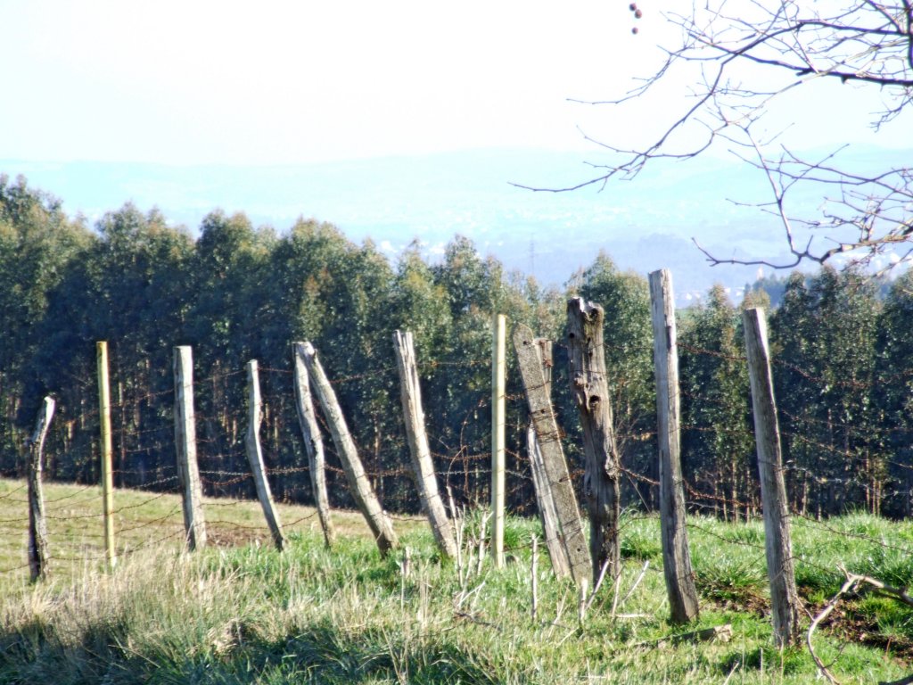 Foto de Escobedo (Cantabria), España