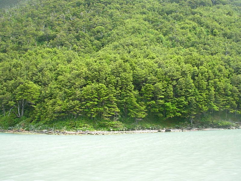 Foto de Parque Nacional Bernardo Ohiggins, Chile