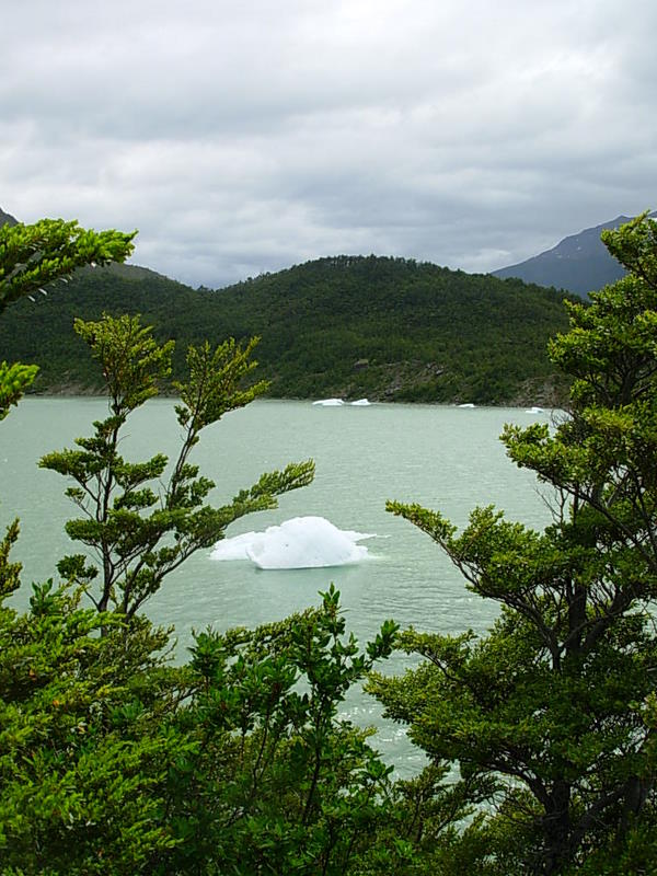 Foto de Parque Nacional Bernardo Ohiggins, Chile