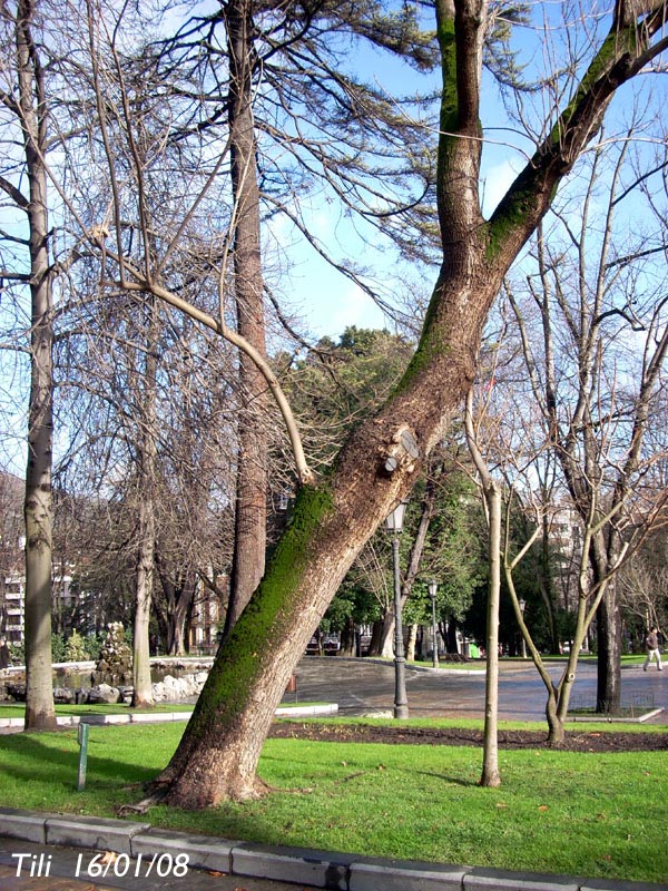 Foto de Oviedo (Asturias), España