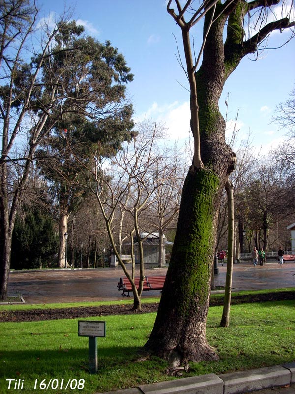 Foto de Oviedo (Asturias), España