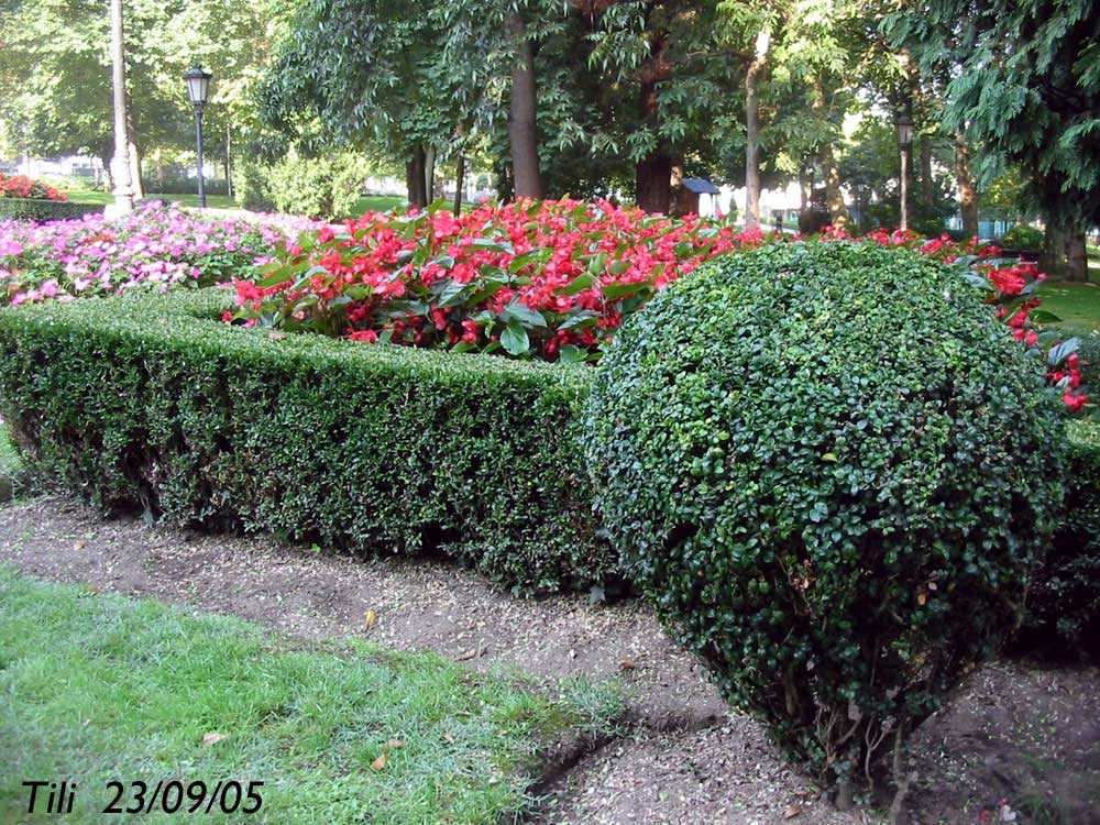 Foto de Oviedo (Asturias), España