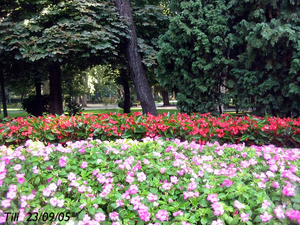 Foto de Oviedo (Asturias), España