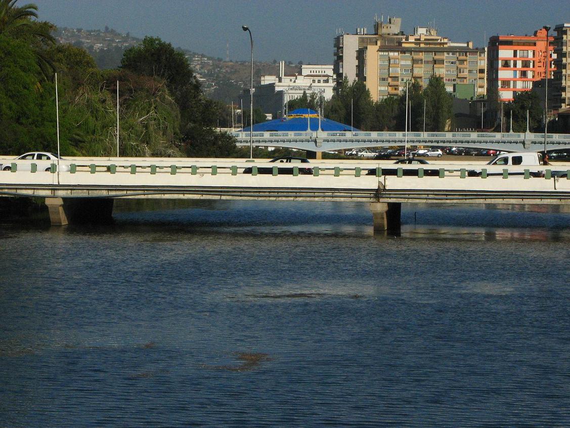 Foto de Viña del Mar, Chile