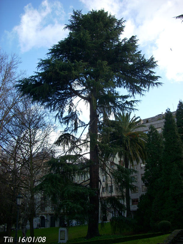 Foto de Oviedo (Asturias), España