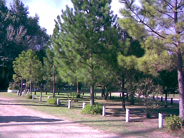 Foto de Brazo Largo, Entre Ríos, Argentina