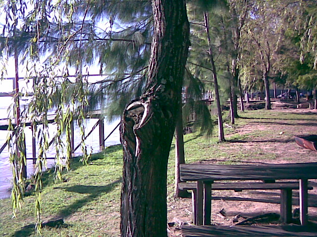 Foto de Brazo Largo, Entre Ríos, Argentina