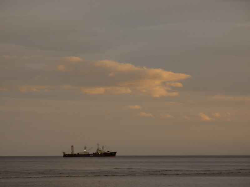 Foto de Punta Arenas, Chile