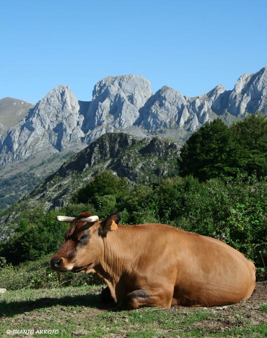 Foto de Lena (Asturias), España