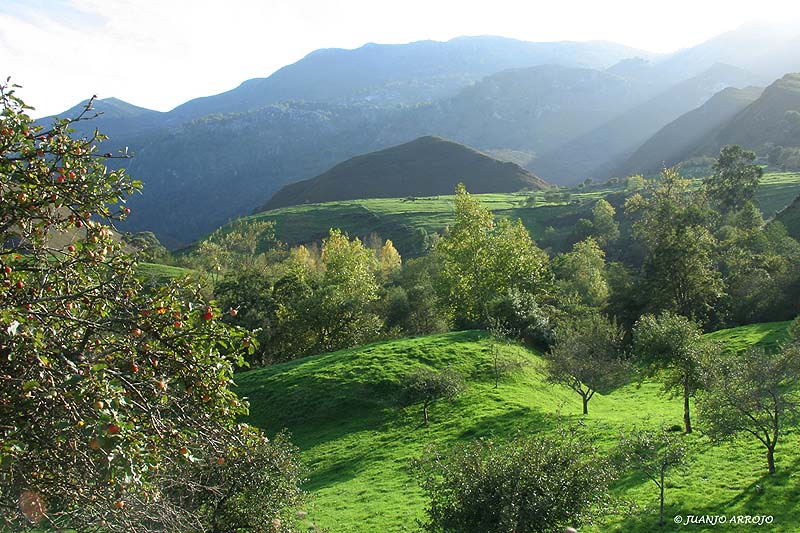 Foto de Llanes (Asturias), España