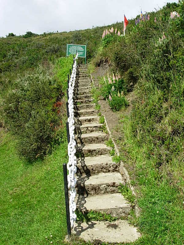 Foto de Punta Arenas, Chile