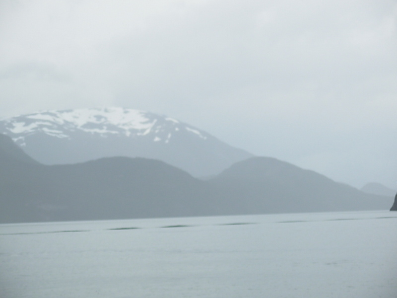 Foto de Puerto Natales, Chile